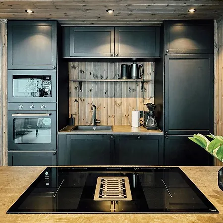 Modern With Mountain View By Syningtoppen Holiday home *