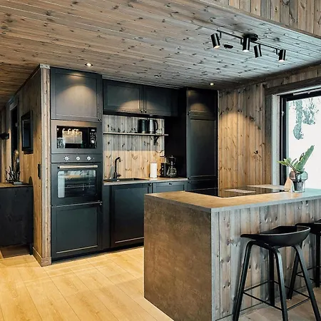 Modern With Mountain View By Syningtoppen Torpo