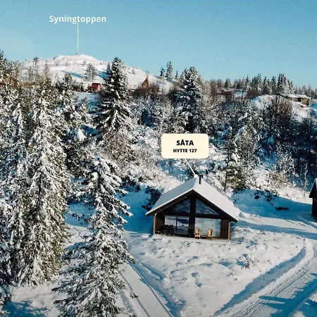 Modern With Mountain View By Syningtoppen Torpo