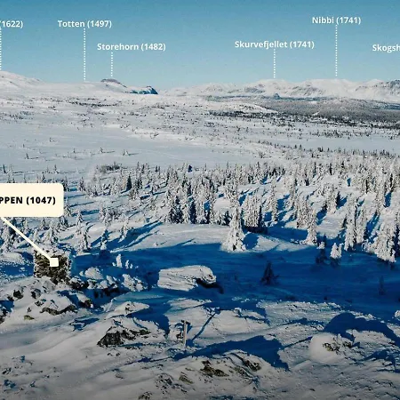 Modern With Mountain View By Syningtoppen