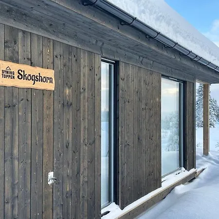 Modern With Mountain View By Syningtoppen * Torpo