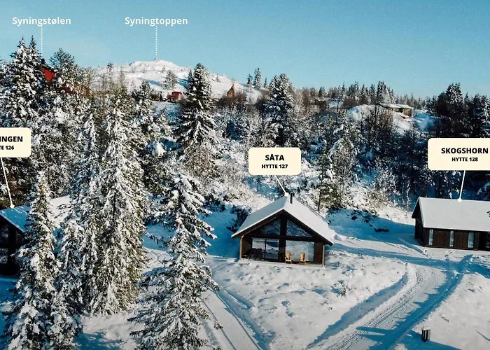 Modern With Mountain View By Syningtoppen Torpo