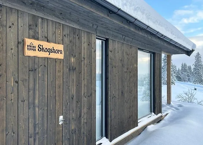 Modern With Mountain View By Syningtoppen * Torpo